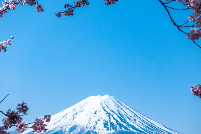 jj-ying-9Qwbfa_RM94-unsplash