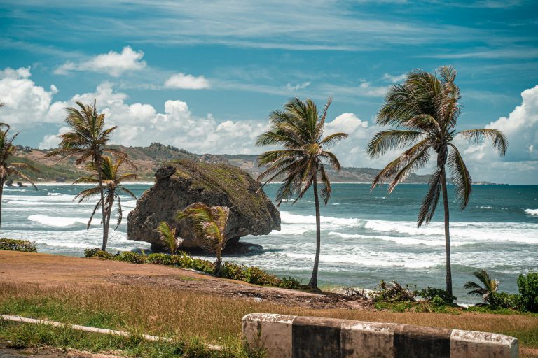 desmond-lingard-UGAPuE0tddU-unsplash