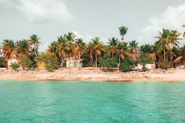 jean-estrella-_XOpGfUkjhs-unsplash