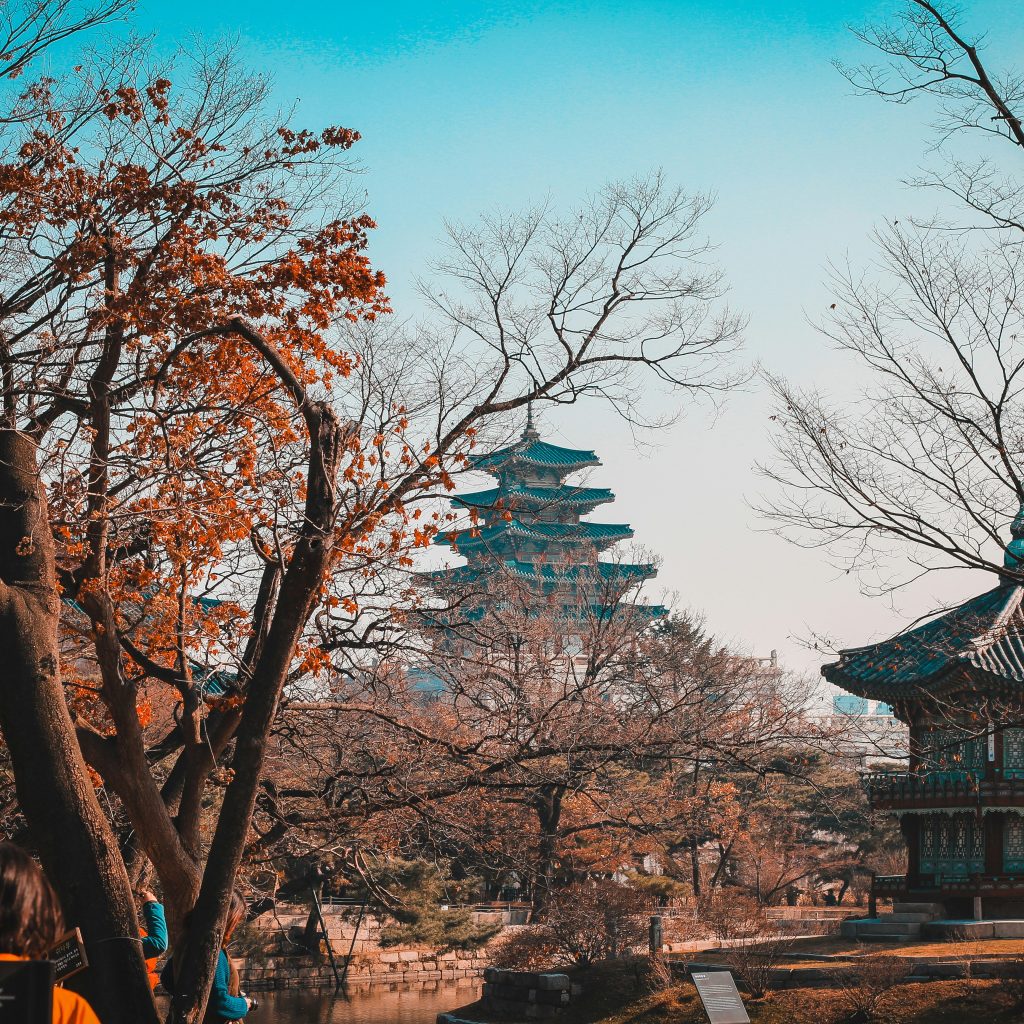 Tour en grupo Japon con Corea del Sur y China | Noviembre 2026
