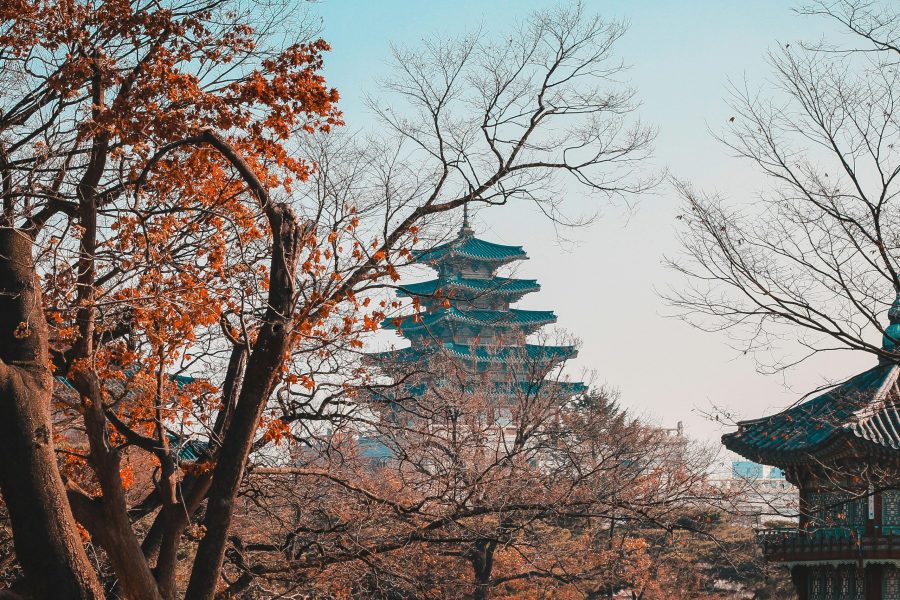 Japon con Corea del Sur y China | Noviembre 2026